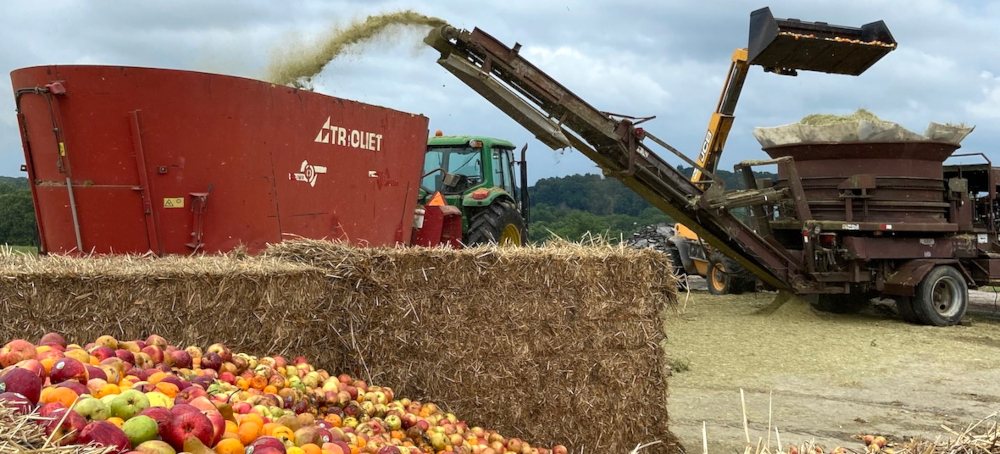 Recycling Food Waste Could Dramatically Lower Greenhouse Gas Emissions: Study