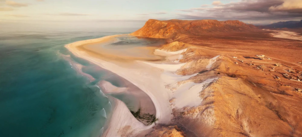 Millions of Years of Evolution Could Be Wiped Out on 'Galapagos of the Indian Ocean,' Conservationists Warn