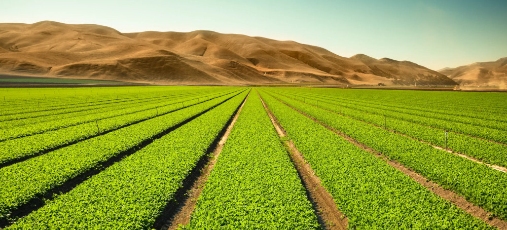 Do We Need Another Green Revolution?