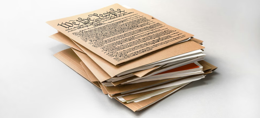 The Fourteenth and Fifteenth Amendments Are In Danger