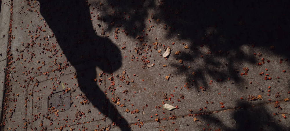 'Antagonized for Being Hispanic': Growing Claims of Racial Profiling in LA Raids