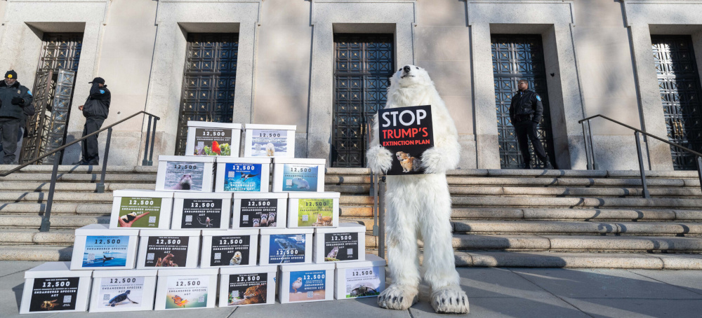 How Proposed Changes to the Endangered Species Act Could Further Threaten the Country’s Imperiled Species