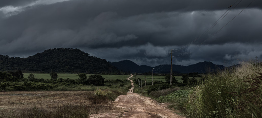 Volkswagen Case in Brazil Exposes Horrific Suffering in Rush to Develop the Amazon