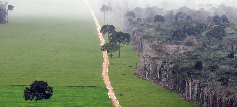 A Major Agreement to Protect the Amazon Is Falling Apart After 20 Years