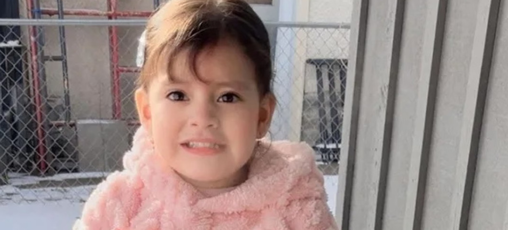 Adapt, Shrink or Die: The Global Crisis in Humanitarian Aid