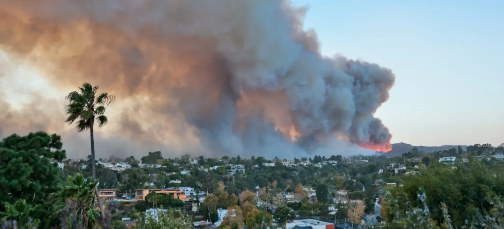 Growing Evidence Points to Link Between Autism and Wildfire Smoke
