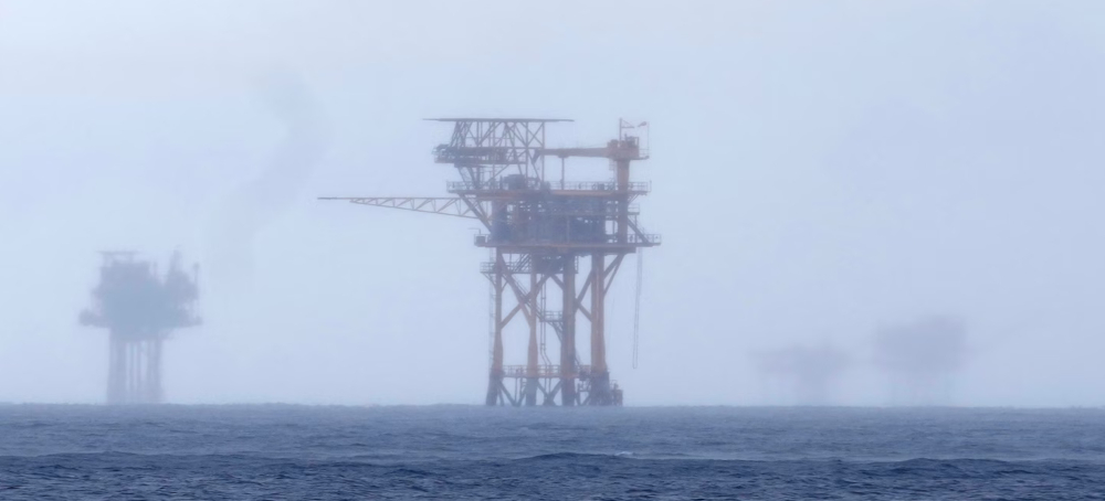 US Panel Votes to Exempt Gulf of Mexico Drilling From Endangered Species Act