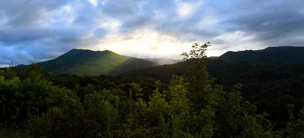 ‘Illegal’ Forest Service Overhaul Risks Causing ‘Chaos’ Across US Public Lands, Union Claims