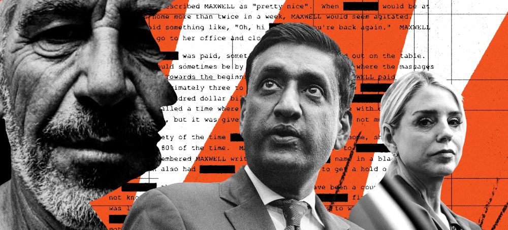 The Rise of the Epstein Democrat