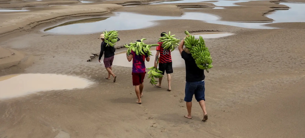 The World Is Getting Too Hot to Feed Itself