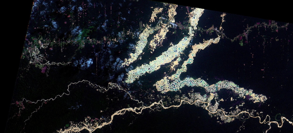 The Amazon’s Invisible Crisis