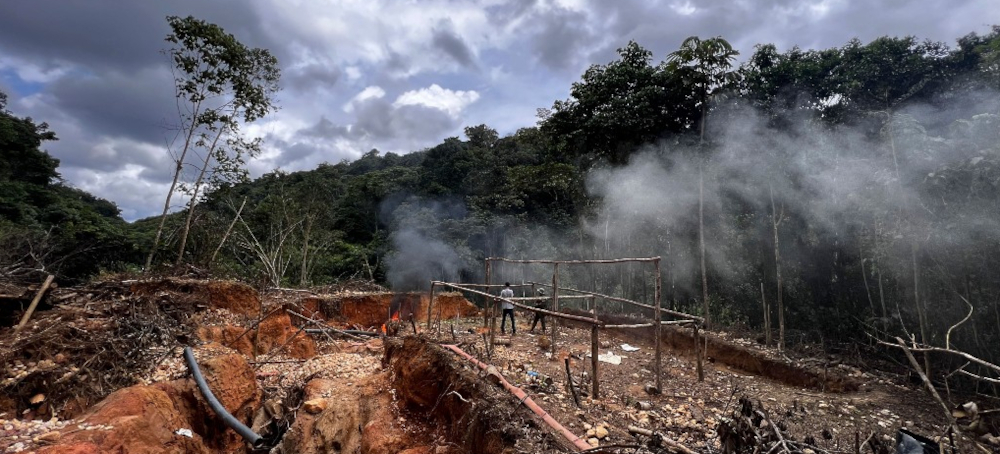 New Study Shows Risks of Amazon Deforestation. And Rewards of Protection.