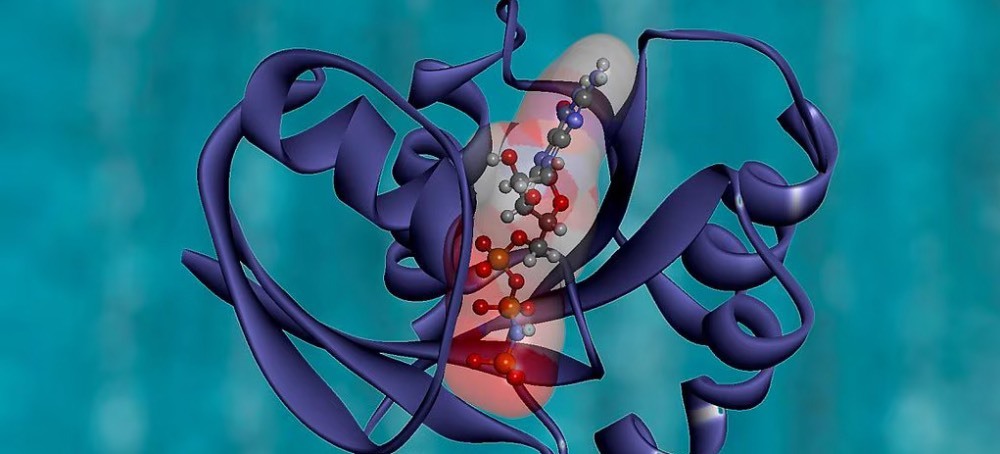 How Scientists Found a Weakness in One of the the Deadliest ‘Undruggable’ Cancers