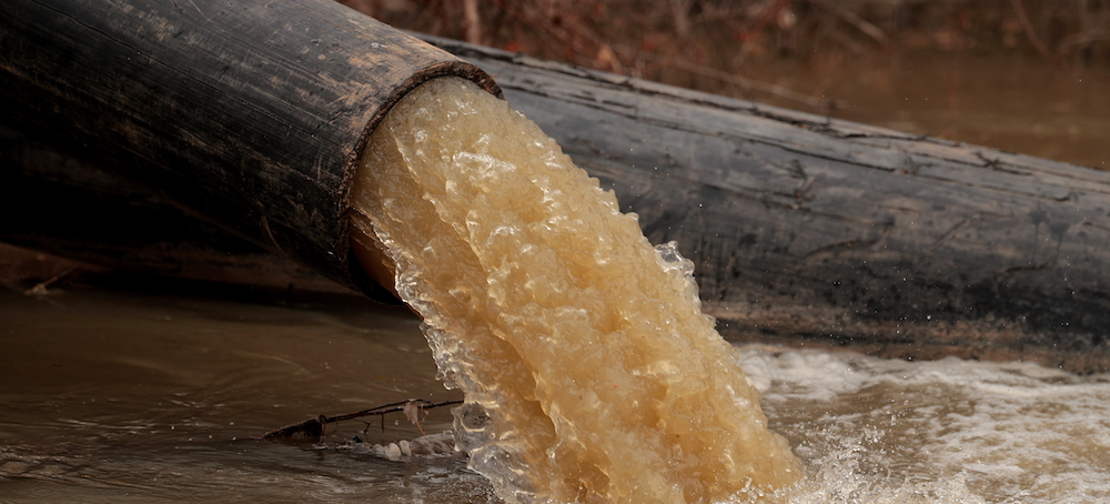 Sewage and Fuel Leaks Contaminate the Potomac River, Source of Drinking Water for More Than 5 Million People