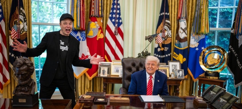 Elon Musk, Human Ponzi Scheme