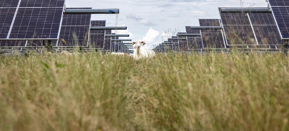 Solar Generates More Energy in Us Than Coal for First Time