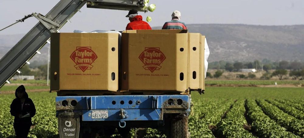 Taylor Farms Spent Big on MAGA and Anti-Regulatory Lobbying Before Diarrhea Outbreak
