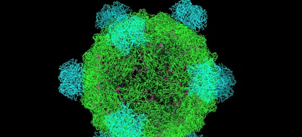 This A.I. Just Created Viruses Not Found in Nature