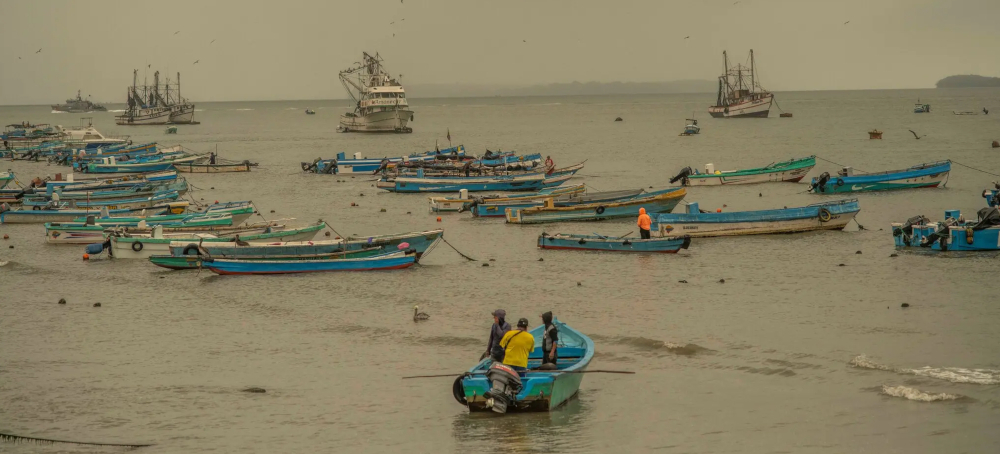 They Spoke English, Wore US Flags and Attacked Fishermen. Who Were They?