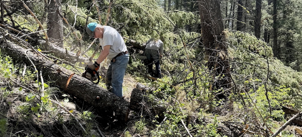The Buzz of Chainsaws in Idaho Is Testing What Wilderness Means
