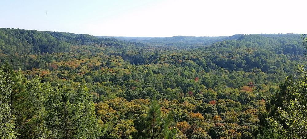 Formal Repeal of Roadless Rule Directly Threatens Midwest Wilderness