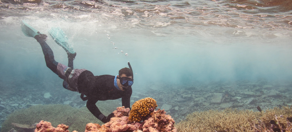 There Are Still Nearly Pristine Coral Reefs. They're a Blueprint for Coral Restoration