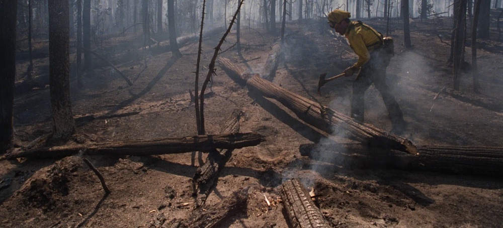Why Even Resilient Forests Are Struggling to Regrow After Wildfires
