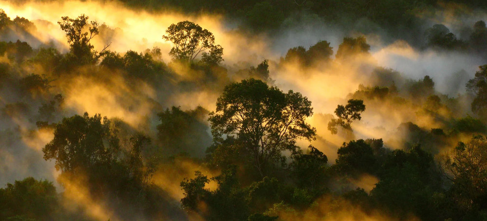 Why the Future of the Amazon Could Depend on Brazil’s&nbsp;Election