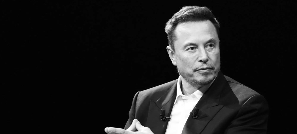 Elon Musk’s Shadow Rule&nbsp;(2023)