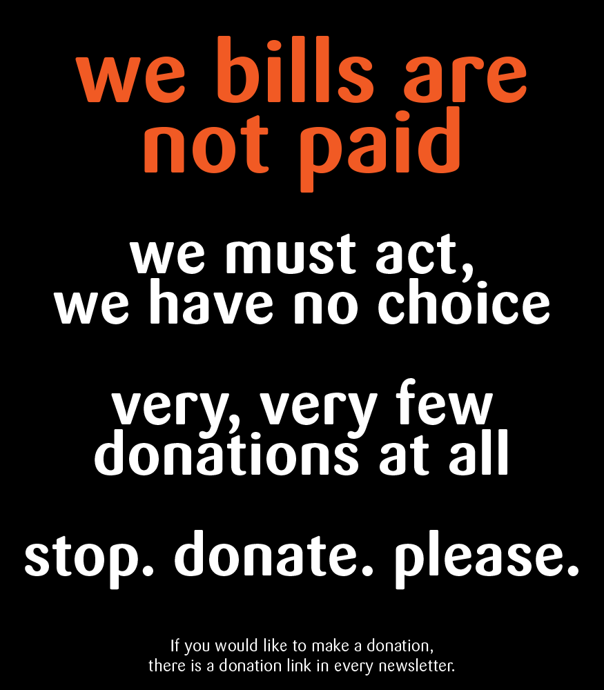 RSN Fundraising Appeal