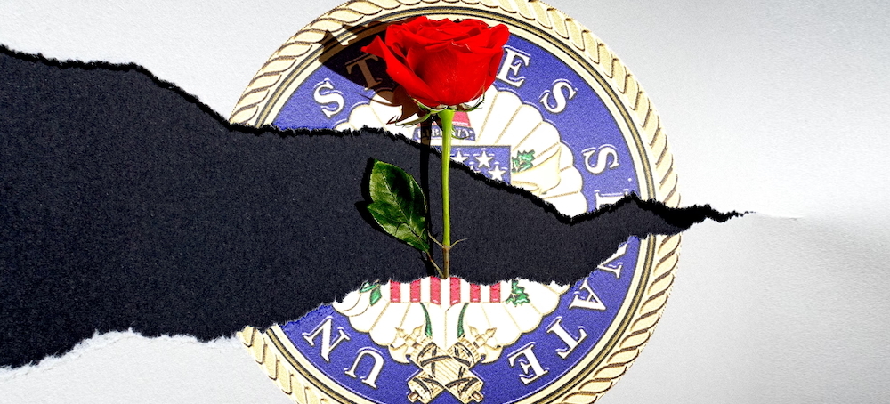 Abolishing the Senate Might Be the DSA’s Best Idea