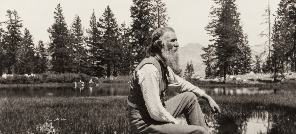 The American Forests (1897)