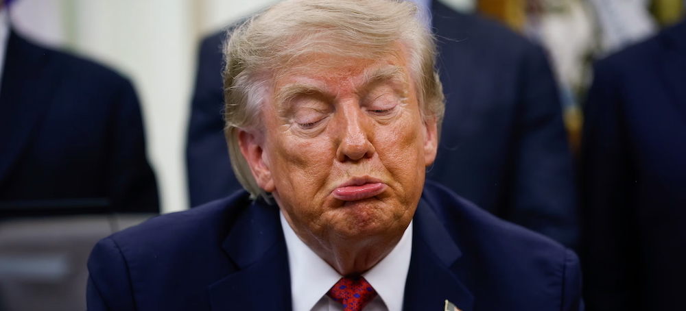 Trump Personifies the Basic Laws of Human Stupidity
